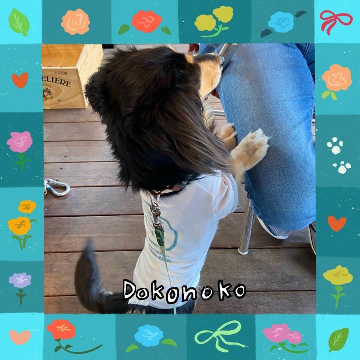 90af12dc f682 4323 af92 97b6681ad1cc 1714952051202