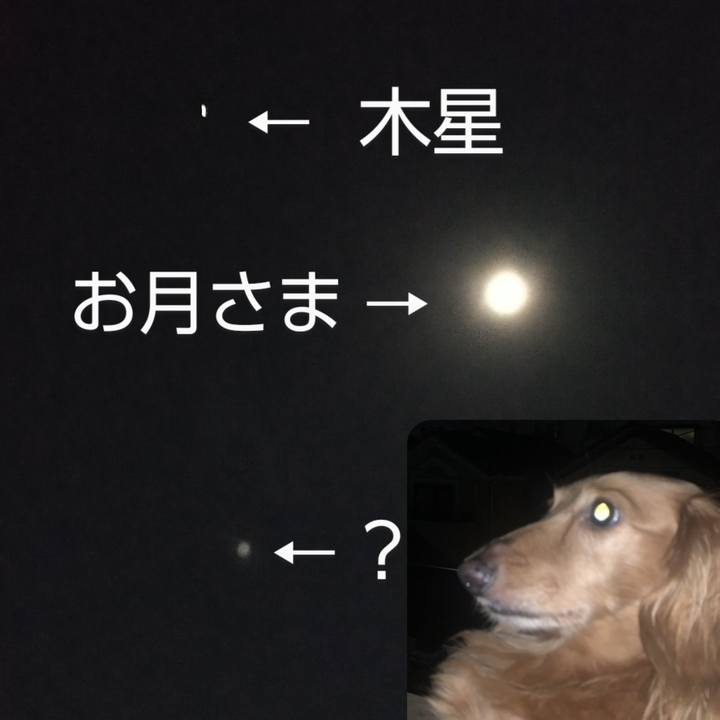 90af1b4e 3bcf 4a20 8b99 ece7fb06697e 1662904481880