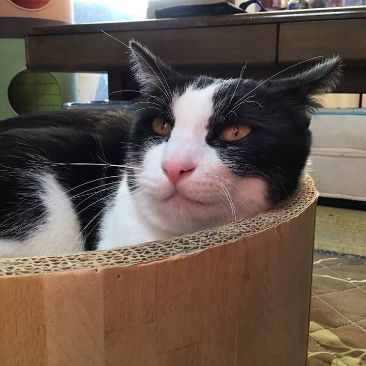 90af1e08 1439 46b2 8c91 9d1191ba05d8 1732180815257