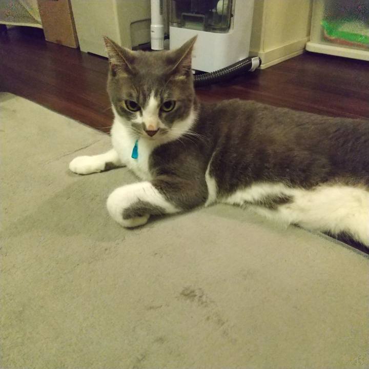 90af24e9 1eb1 4131 9b69 3770d07b079b 1619785975025