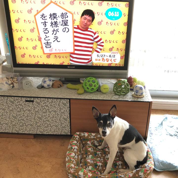 90af3c4e 6d0a 4a47 bbcb 4ab363bdf735 1558908671364