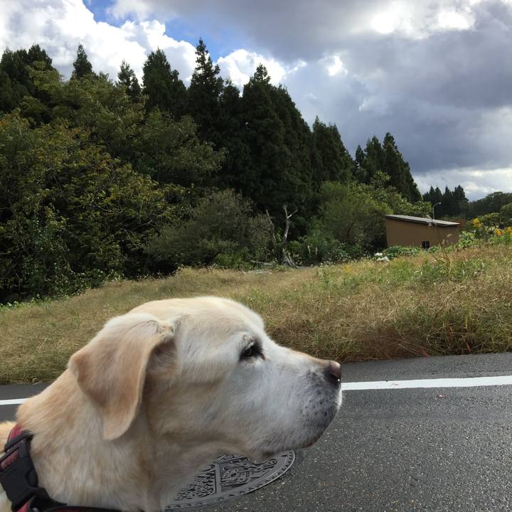 90afb4cb 6918 41bd bc90 85a46e9465f2 1540972782754