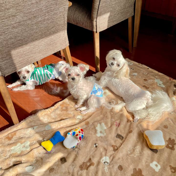 90afec36 af70 42b2 bb32 7436dd8ead98 1637803356538