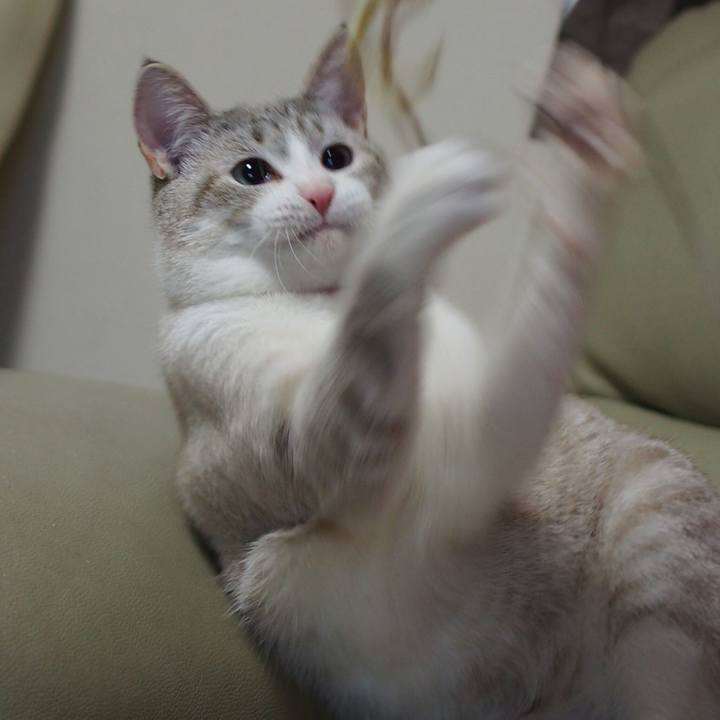 90afff80 b8ed 4937 a7bc 7b6d1802f0f9 1515834445487