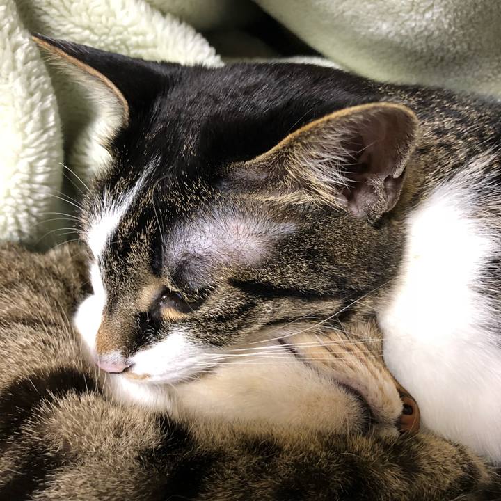 90b002d1 66f1 4f0f bae6 6ec014ad7d15 1525791125635