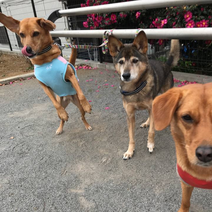 90b00f5b 9cd8 4f69 a64c 0d5b895a4513 1543794514010