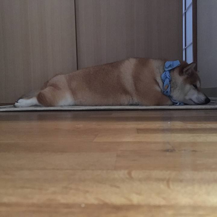 90b01cf8 59e6 4624 ba4a 3ba8a0e4d5c5 1566088337813