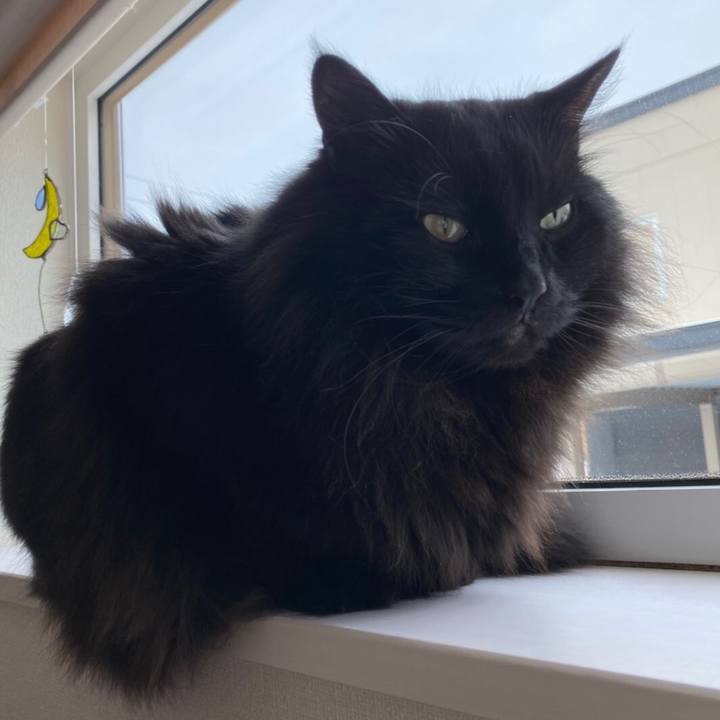 90b05715 80d6 44c9 b5d9 a8ef7cadc82b 1579249188231