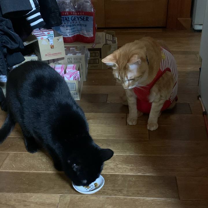 90b07e59 112f 4ffc 9e0d 0e1f735810fa 1583575715013