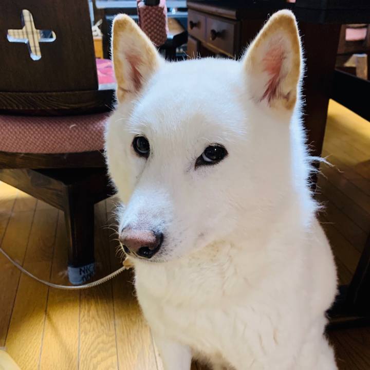 90b0d538 2ce5 4d49 8b81 df2219aa4313 1583501002649