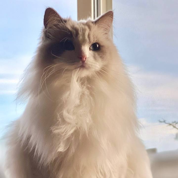 90b0e88c e155 4a9d b212 e24520b99039 1669590073084