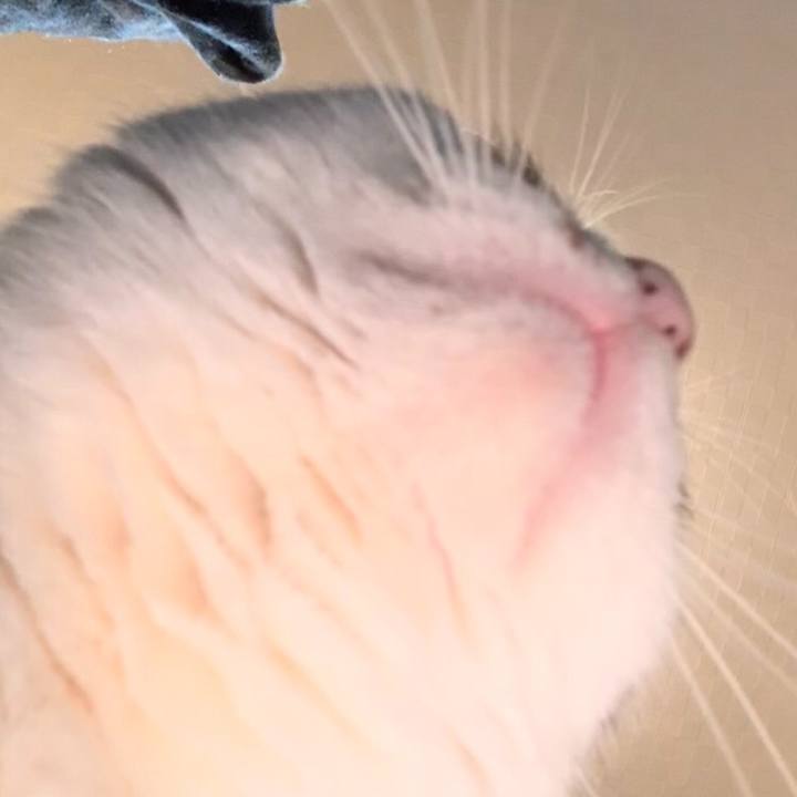 90b1005f f011 4419 8afb b3d323f5b15d 1578547527477