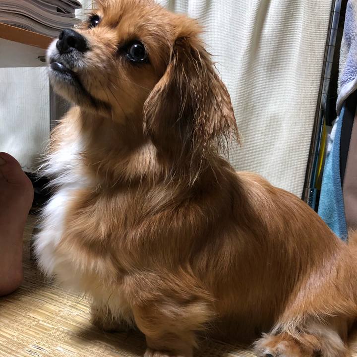 90b10315 a374 48c4 bae2 c0f1b74e1ea3 1520545161448