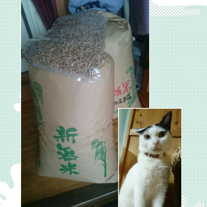 90b130a8 d0be 4115 9671 11d44a228caf 1518308719084