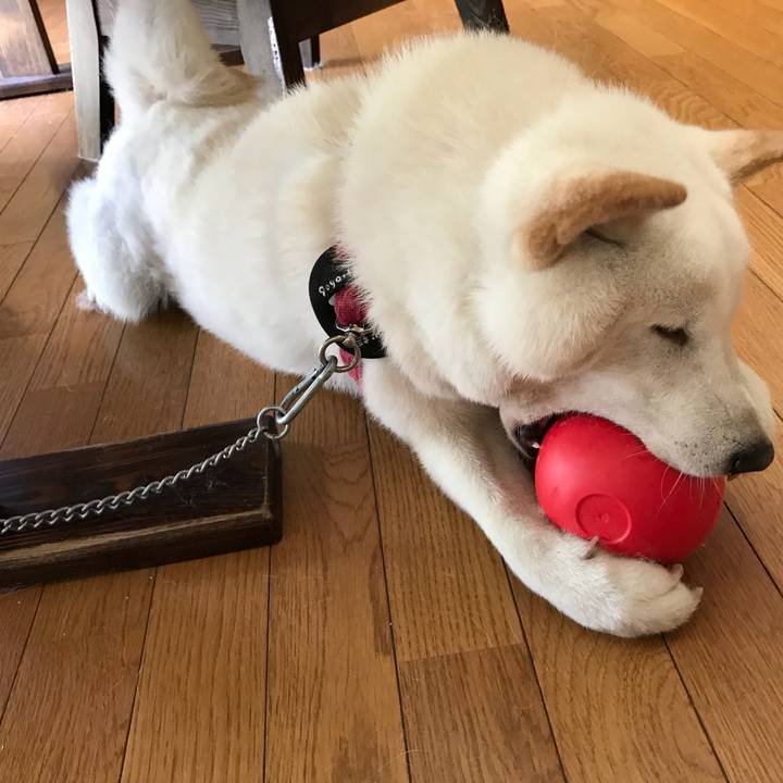 90b14428 2e34 46fe b048 c0e2052de82e 1532911946511