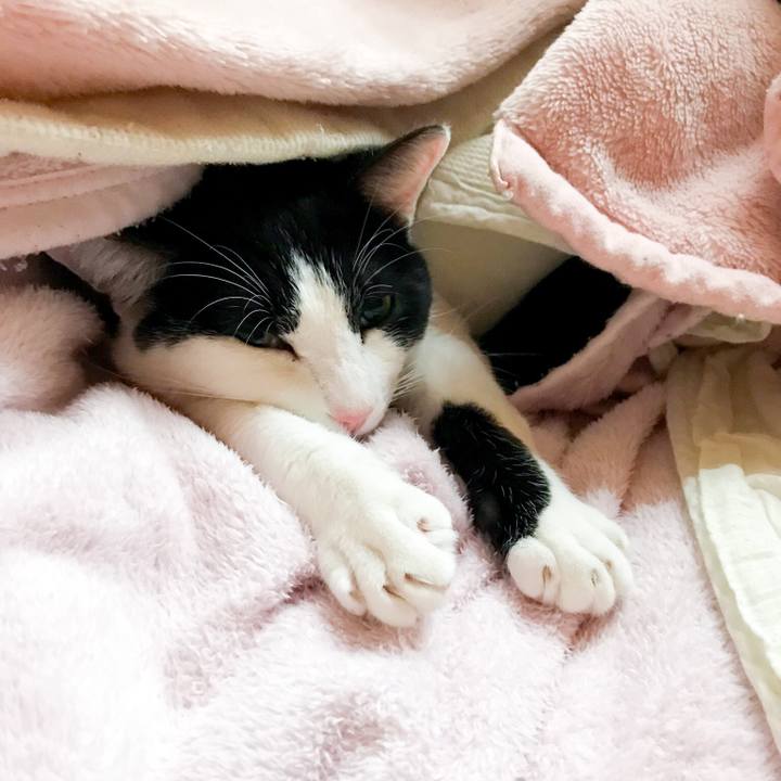 90b15d67 cf17 4ad6 95a8 a430e1257e37 1519088531990