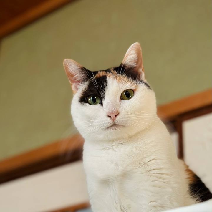 90b180b4 cd10 4762 a5fb 1b6cabda08a9 1674787217207