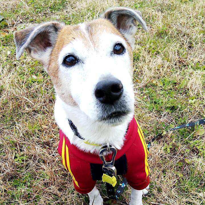 90b1bebb 9ab2 4193 a553 2007272826aa 1546411170620