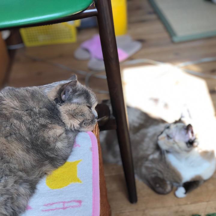 90b1c175 37fc 48c1 8857 47b40777c66d 1773767823730