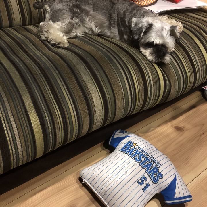 90b21a8c 3502 4980 9aba d6eab477183b 1565269830011