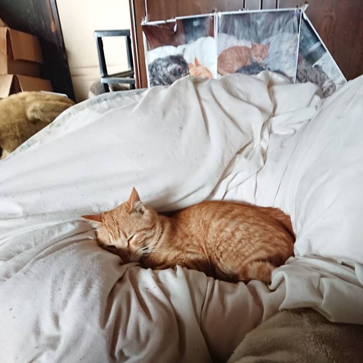 90b246c3 1c61 4682 b741 d065aee8561a 1648253663698