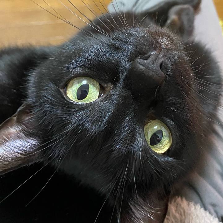 90b248d7 9b57 42bc 95cf 69c1a78cbfa2 1677593725401