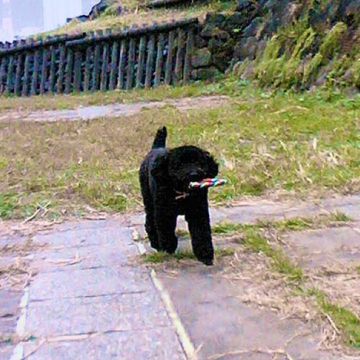 90b266a0 44c9 42c6 b4f0 233e37d48b77 1767106008699