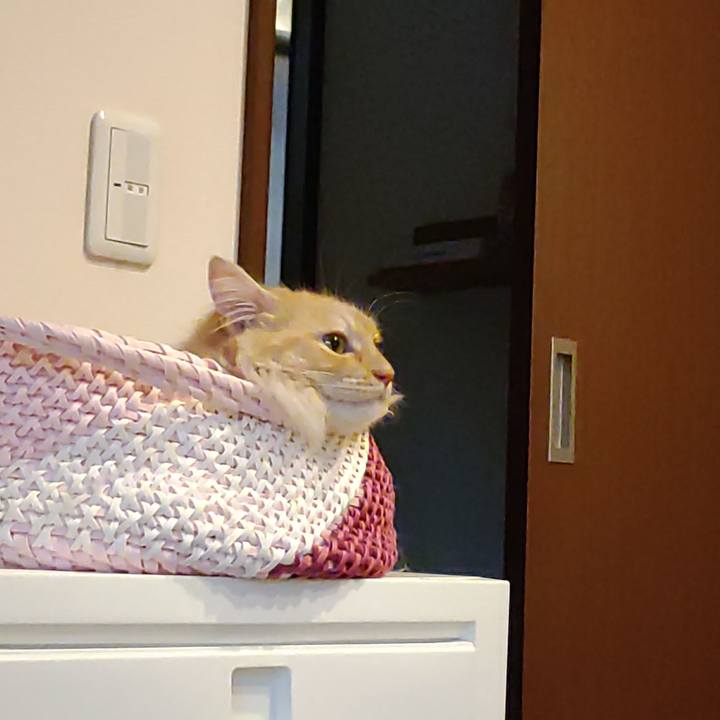 90b28339 e8b7 4225 bd81 754e36792d7b 1720520457844