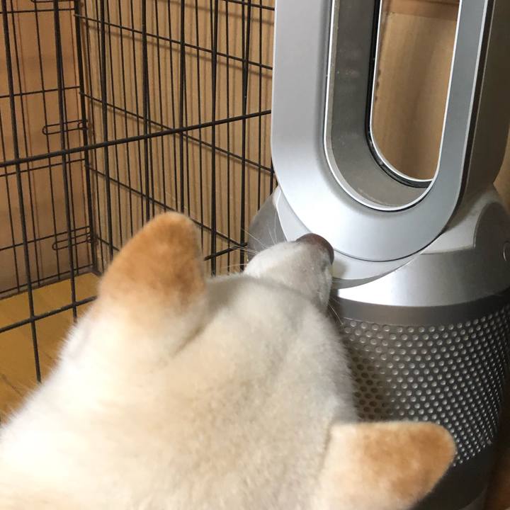 90b2c506 7f95 411b 90c1 87dd58c6a013 1631919426725