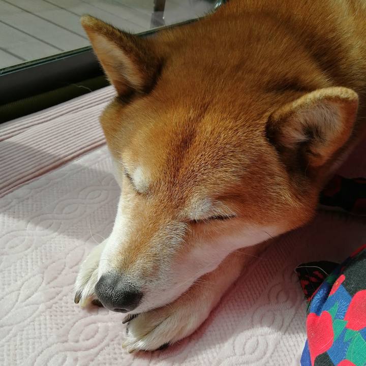 90b2def5 c2d7 49f6 99d9 09390f86a618 1677635844469