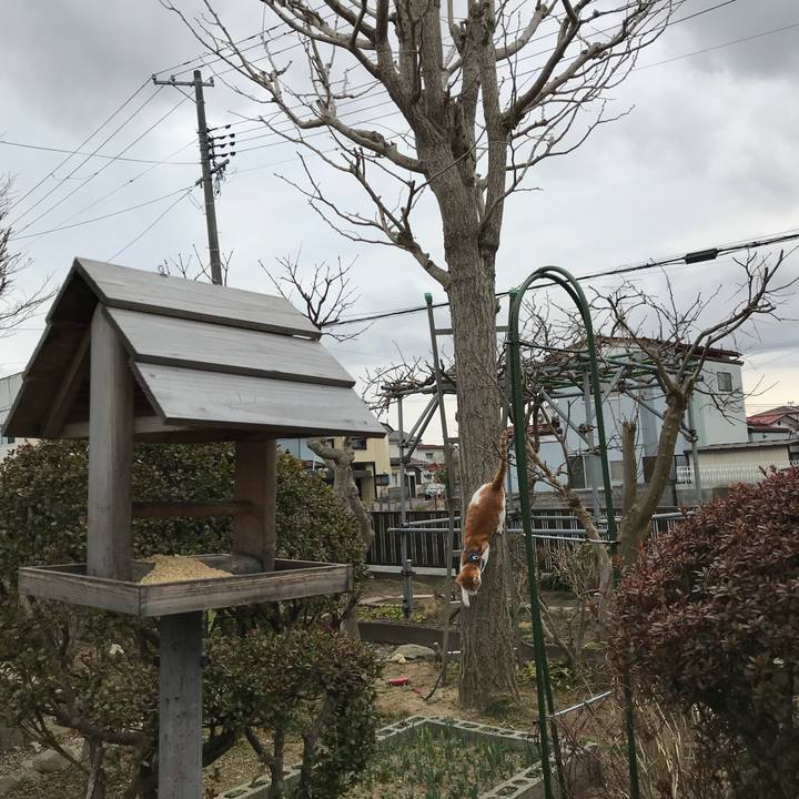 90b32255 7e1c 4880 8821 1128412df0de 1521175914100