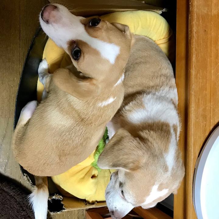 90b32f40 60af 40f0 9e95 5d4e805344cc 1541390811232