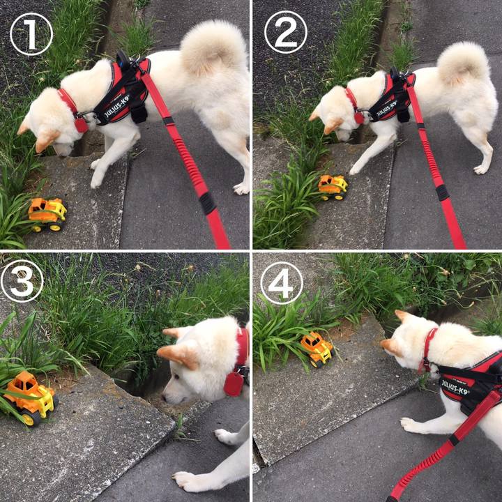 90b347b4 b504 43ff 842c 70ef963d7bed 1562062824732