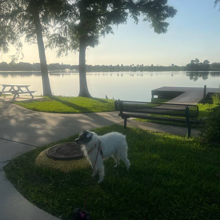 90b38cb9 462d 4f65 912e db68564386df 1751070622385