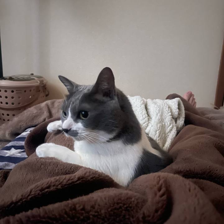 90b390db 53df 47d4 a8d7 46d306dd8852 1713994111055