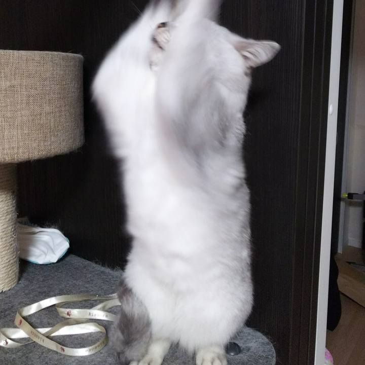 90b3bfe5 8a3d 4b9d b561 48286ee5bbca 1512702721458