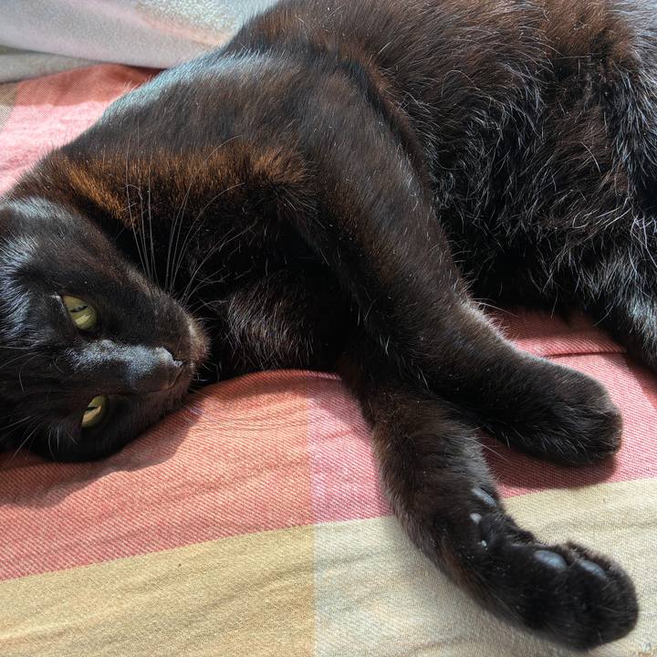 90b3c42a 55d5 4544 856b 8a325a2e7f06 1748045745781