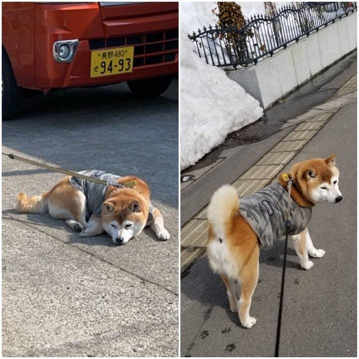 90b40178 d8aa 4291 9fe1 8e0290aaf81f 1646713784141