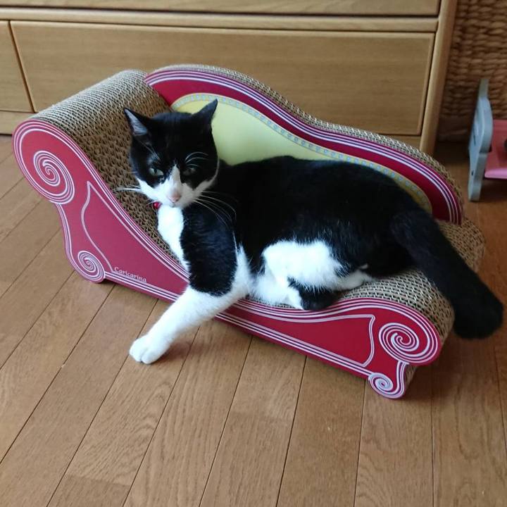 90b410a2 f44a 412d b3a8 aba80599b64a 1629506217847