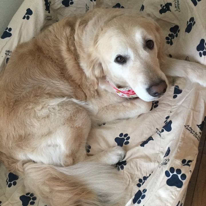 90b443f2 b97c 4508 9367 f8b1e6ecc117 1521791676173