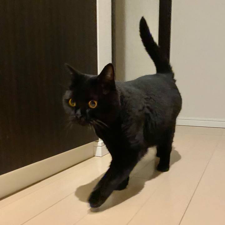 90b45eae 1627 496b bdde 8f4d5fab85cf 1659099418626