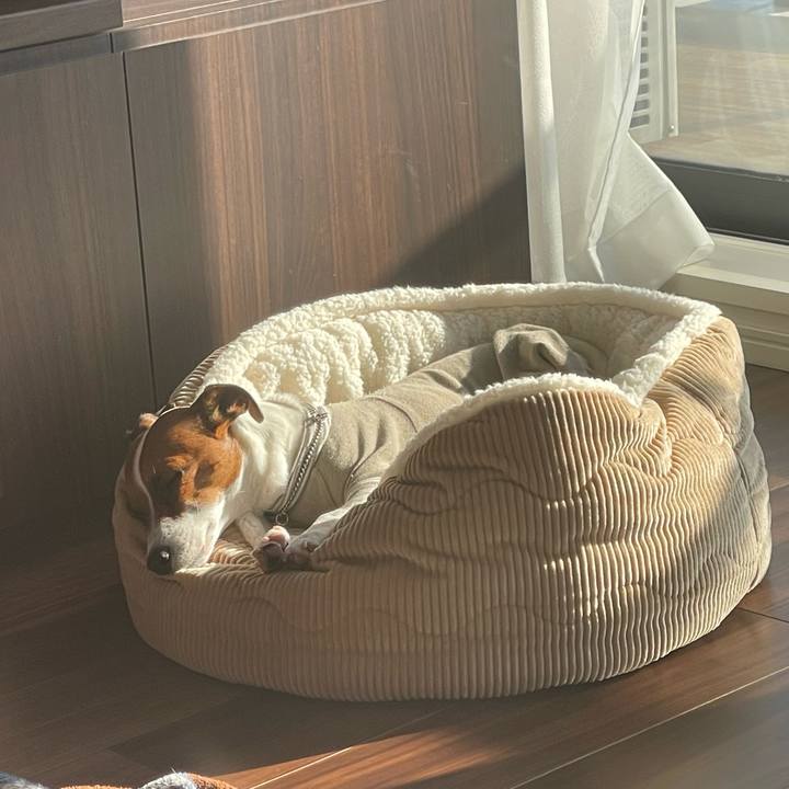 90b4a9ff 08bc 4be9 a1ca d03f22cce3fe 1645831256910