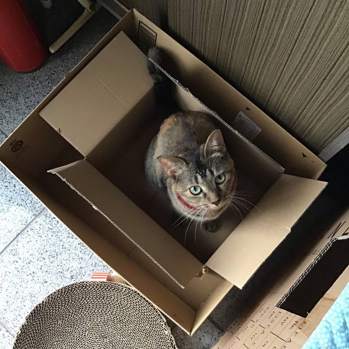 90b4bd8a ea7b 4101 9098 b8ada7b9d7d9 1601362454422