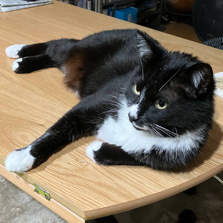 90b4db31 fcb2 4ce8 9dcb 09072ce21640 1689046397762