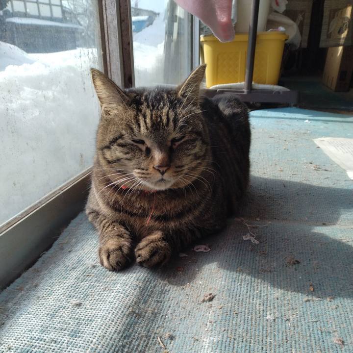 90b4f719 0b27 4a37 b1c9 176395181f1b 1675565766206