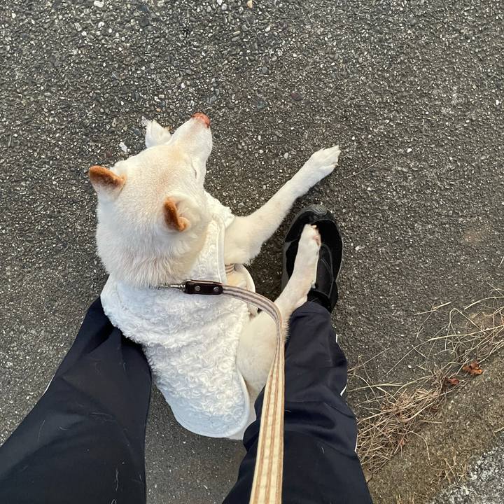 90b50283 18cf 4964 8f41 c58f0bdc668b 1638808047489