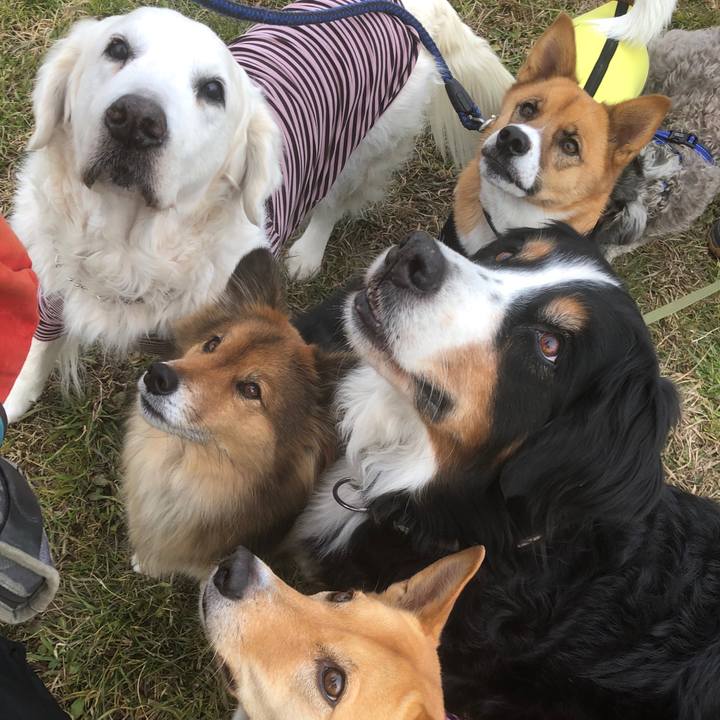 90b54360 7736 4560 be16 f5602458fa97 1547120669193