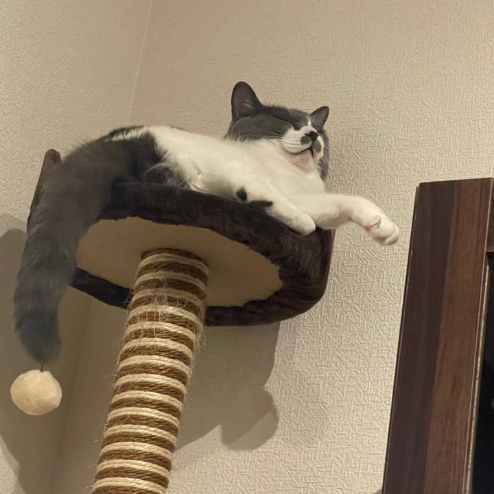 90b5fc50 1bac 4be2 b8f5 2abd64b13d70 1699102524413