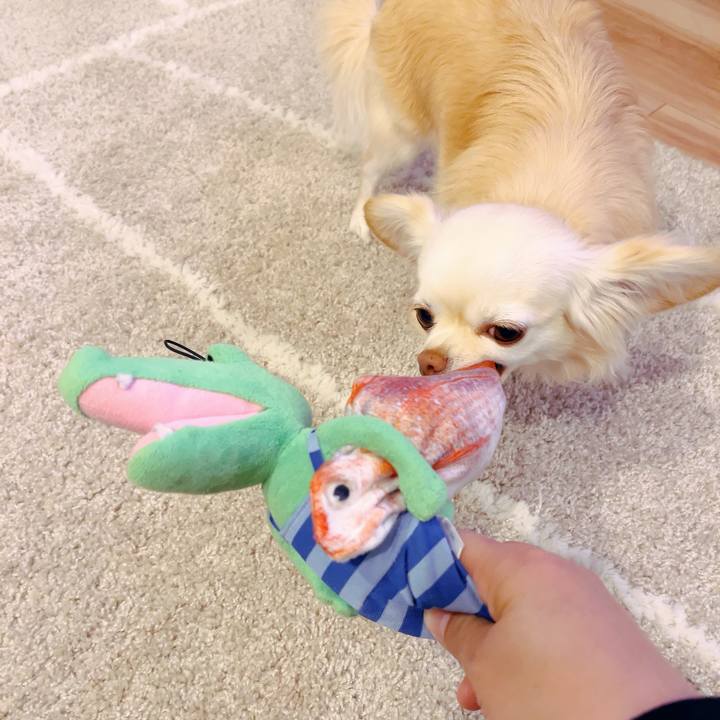 90b61087 8335 4549 bb35 12a1002590d3 1705756622059