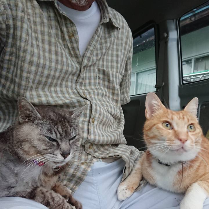 90b647ec afaa 40b8 bcff 228cd676a6b8 1593981372042